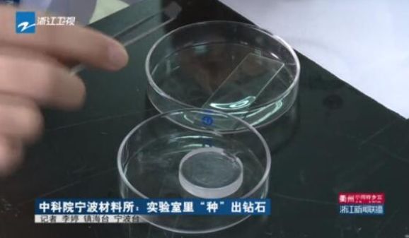 横行全球的百年*局骗**,终于被戳破