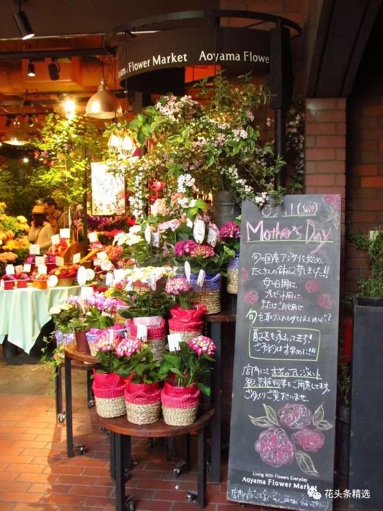 花店特色营销方案,网上花店怎么营销