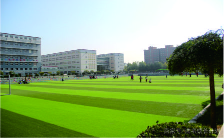 青岛21中中考升学率怎么样,青岛银海学校中考升学率