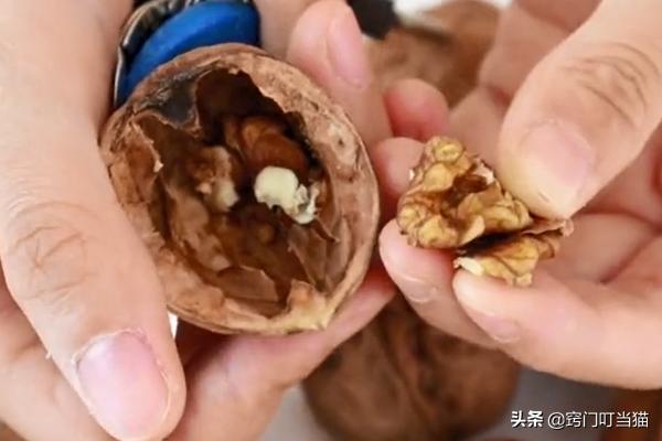 剥核桃的小机关,原来核桃有个小机关