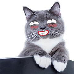 医生说肾不好是什么意思,医生说肾不好是指什么