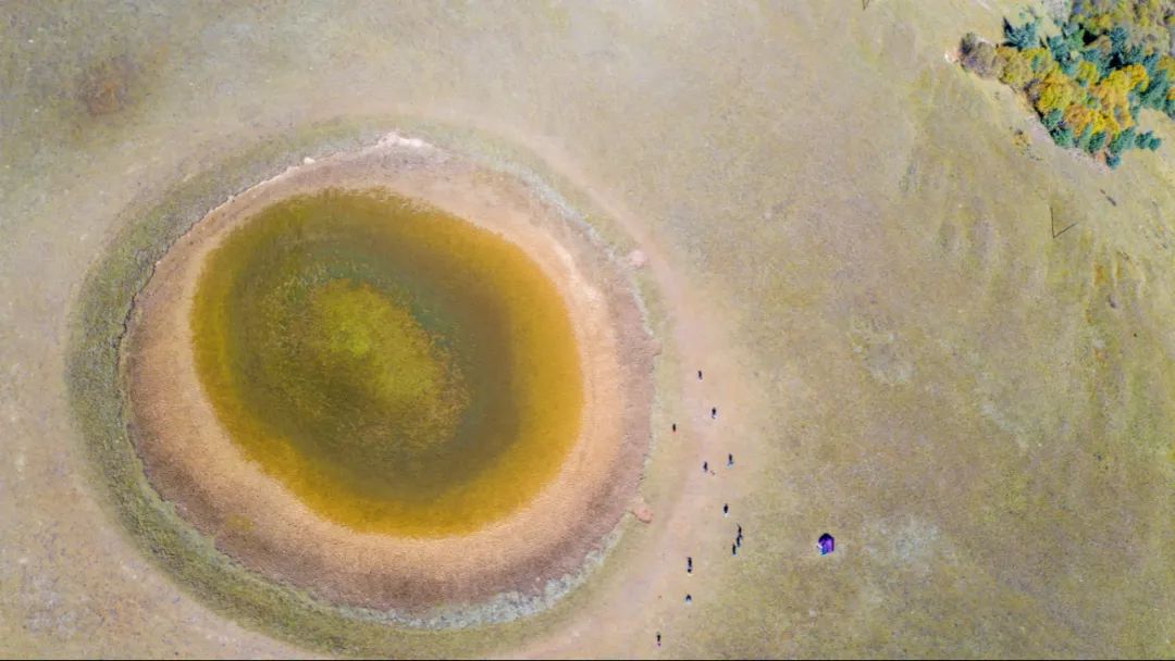 丁真和四川什么关系,丁真背后是谁