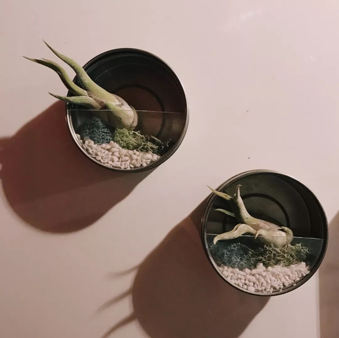 澶湁鐖变簡瀹屾暣瑙嗛,澶湁鐖变簡鍏ㄦ枃闃呰