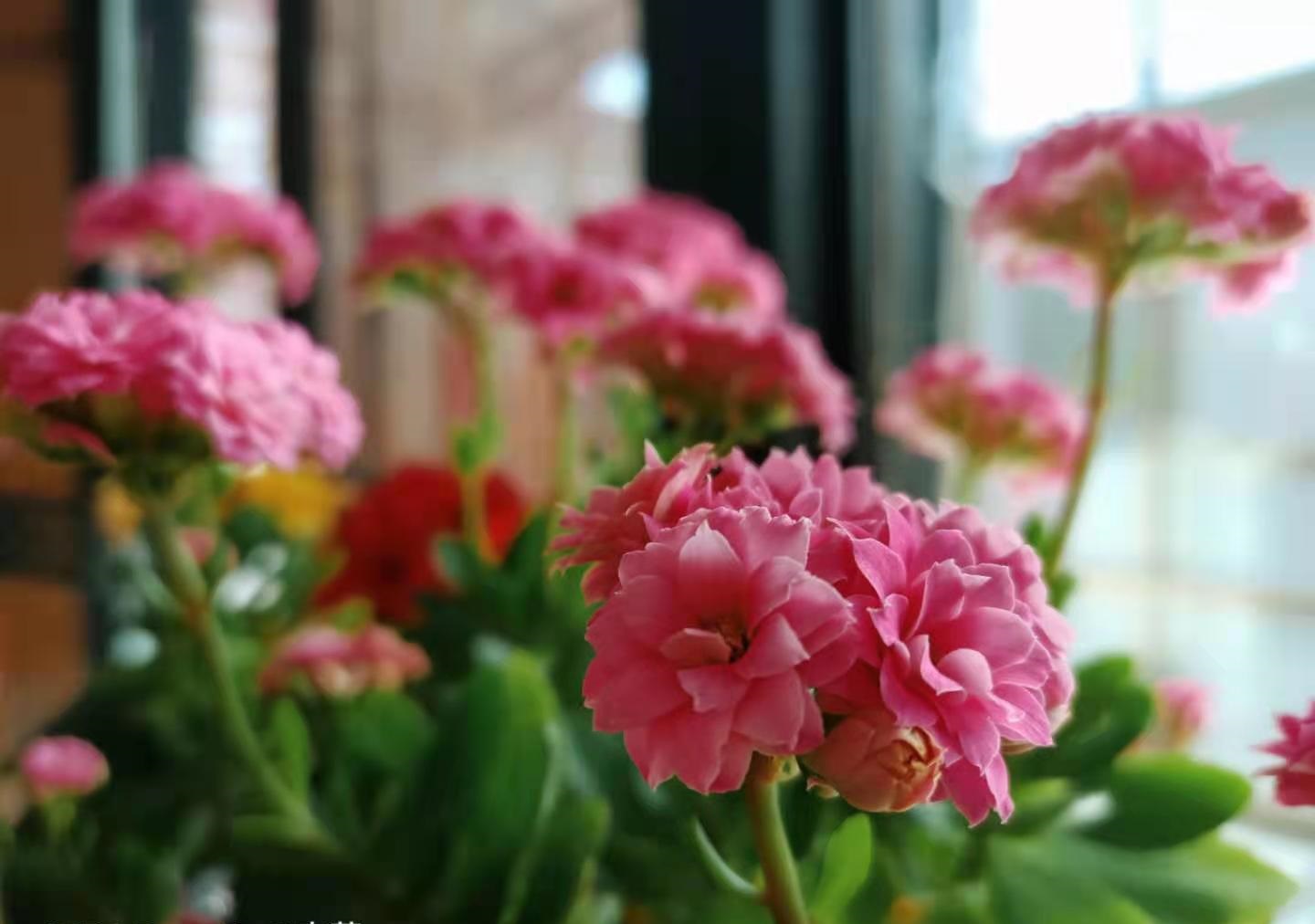 濡備綍寮哄寲寤夋斂鎰忚瘑绛戠墷鎬濇兂闃茬嚎,澧炲己寤夋斂鎰忚瘑鏍戠墷鎬濇兂闃茬嚎