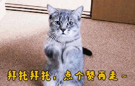 rng小虎祝你好运原视频,rng小虎喊麦