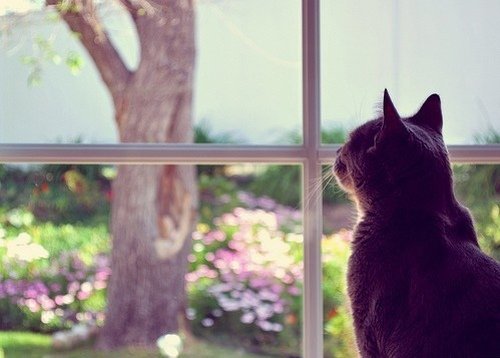 我已患上严重的抑郁症怎么办,我抑郁症发作了我该怎么自救