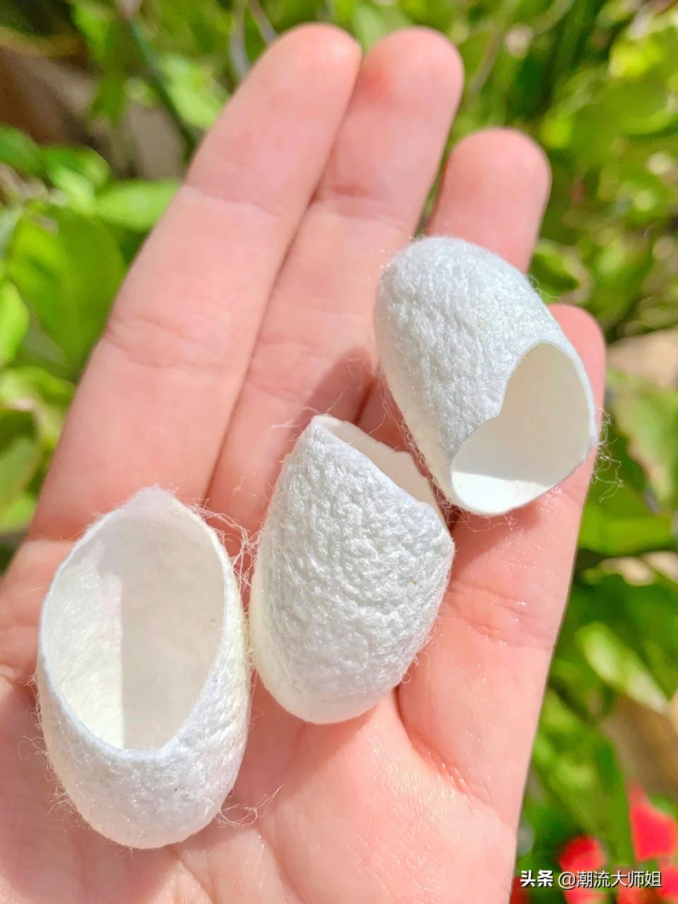 鸡蛋液去黑头有效吗,干货分享去黑头小诀窍让皮肤美腻