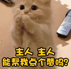 重庆斯威新援叫什么,重庆斯威2019外援