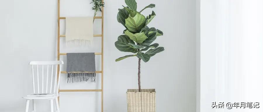 一张避孕套小票，我证实了他丑恶的嘴脸