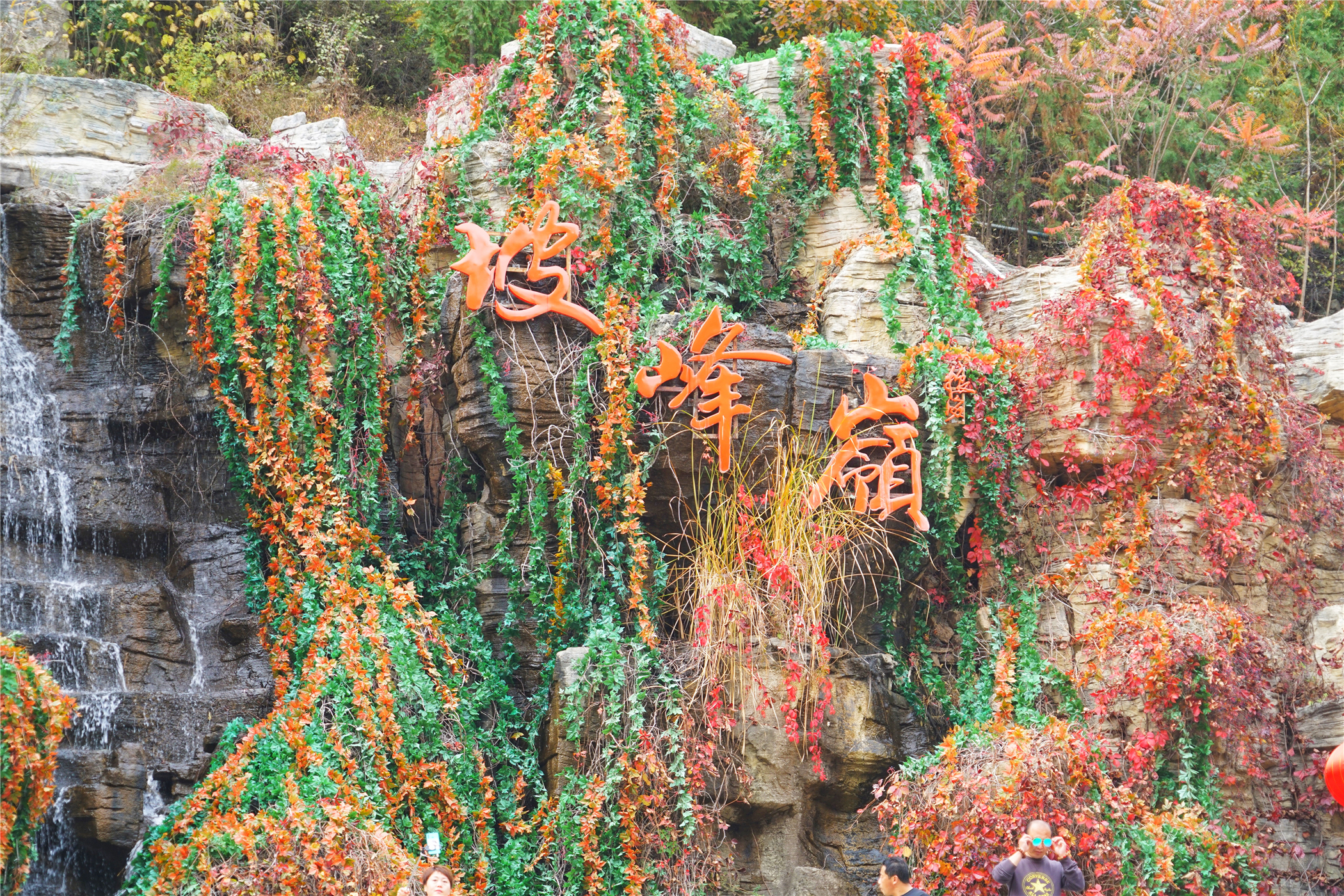赏红叶最佳目的地,房山坡峰岭红叶最佳观赏