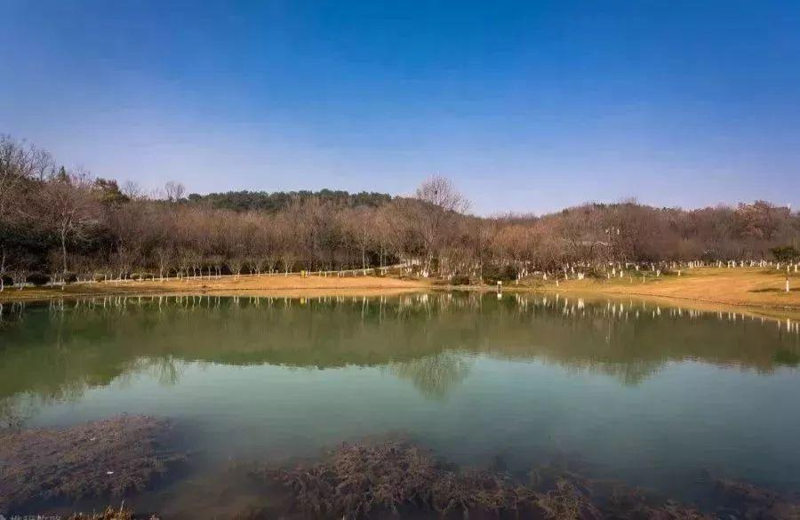 南京免费的公园,太全了