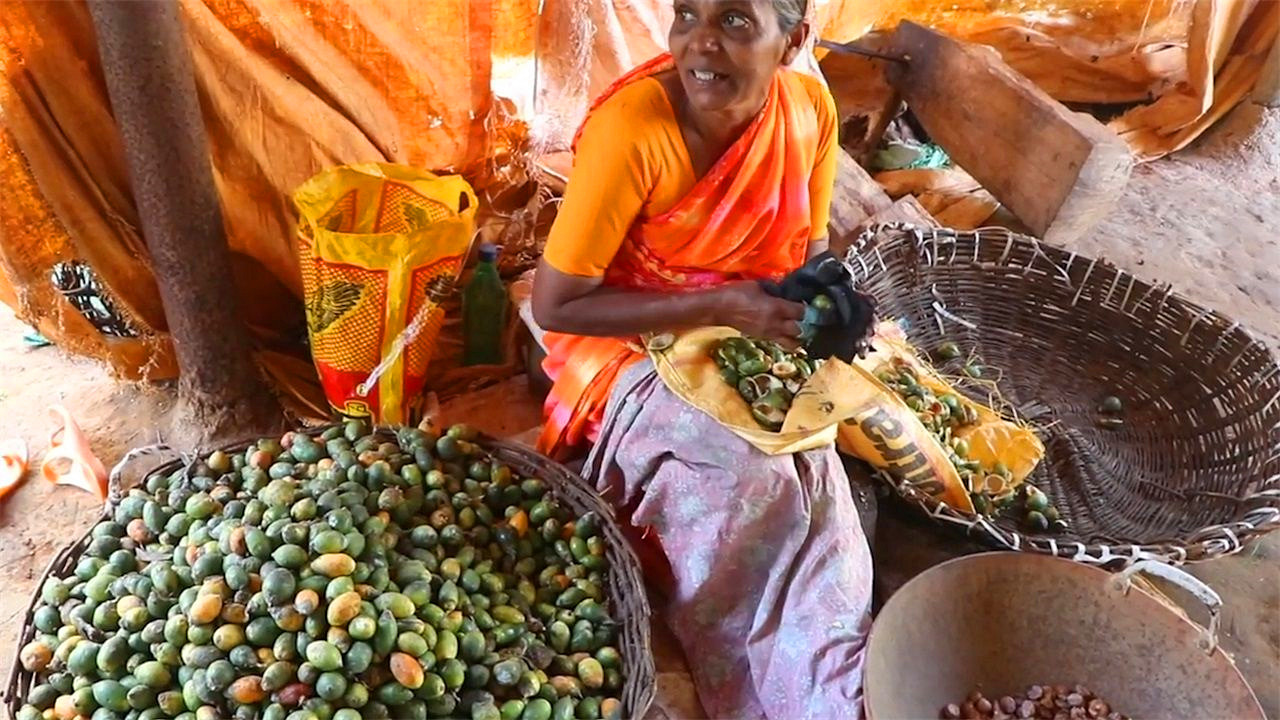 槟榔属于软性毒品吗,槟榔的危机有多大