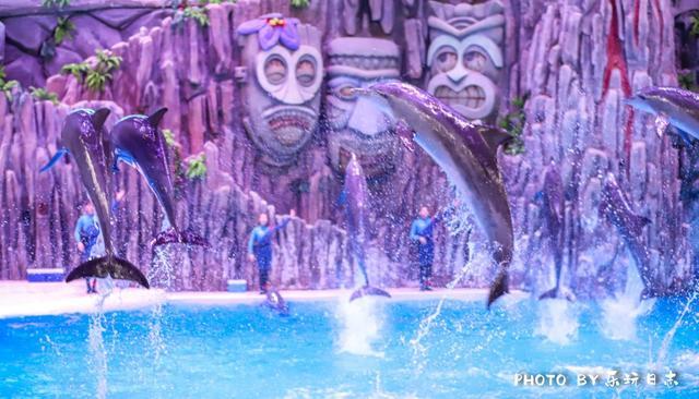 来珠海旅游必打卡的景点,春节珠海亲子游玩地方推荐