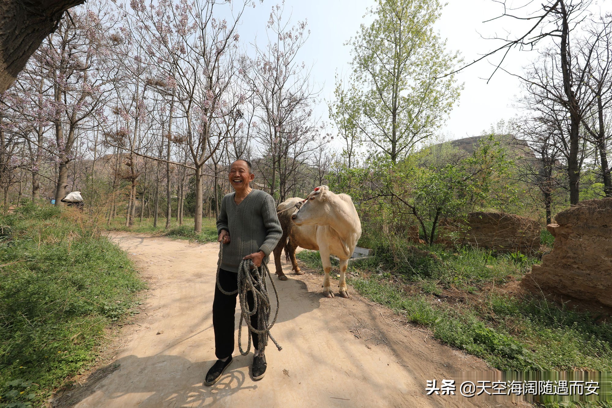 山西8旬大爷在农村做无本生意，3年净赚3万元，看他干的啥营生