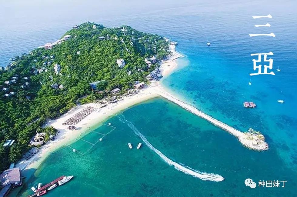 最好的感情,是一起到处走走