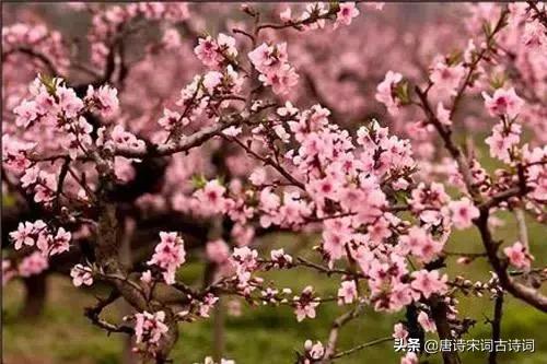 杜牧写下一诗短短4句感人至深,杜牧的十首经典诗篇