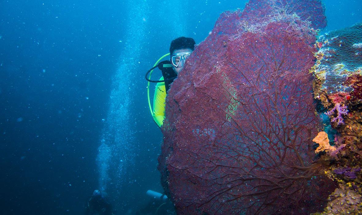 仙本那签证是免签还是落地,旅游仙本那值得去的岛屿