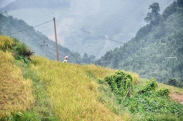 韶关丹霞梯田图片,韶关旅游梯田攻略图片
