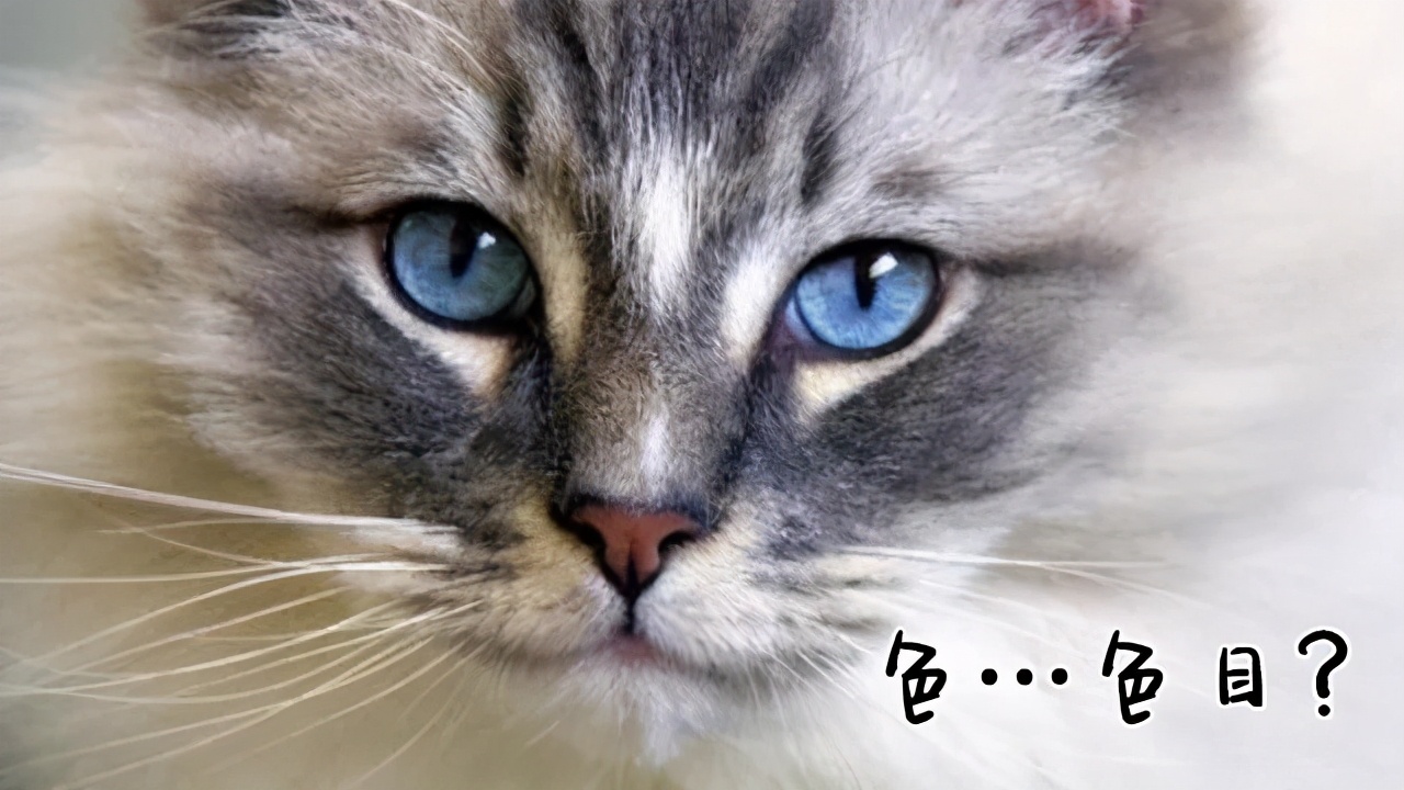 古代客栈的伙计为什么都叫店小二，而不是店老大店小三？