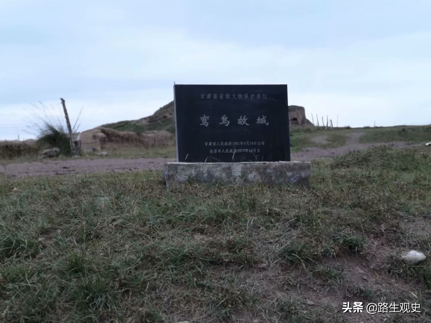 山丹军马场历史,山丹军马场的历史