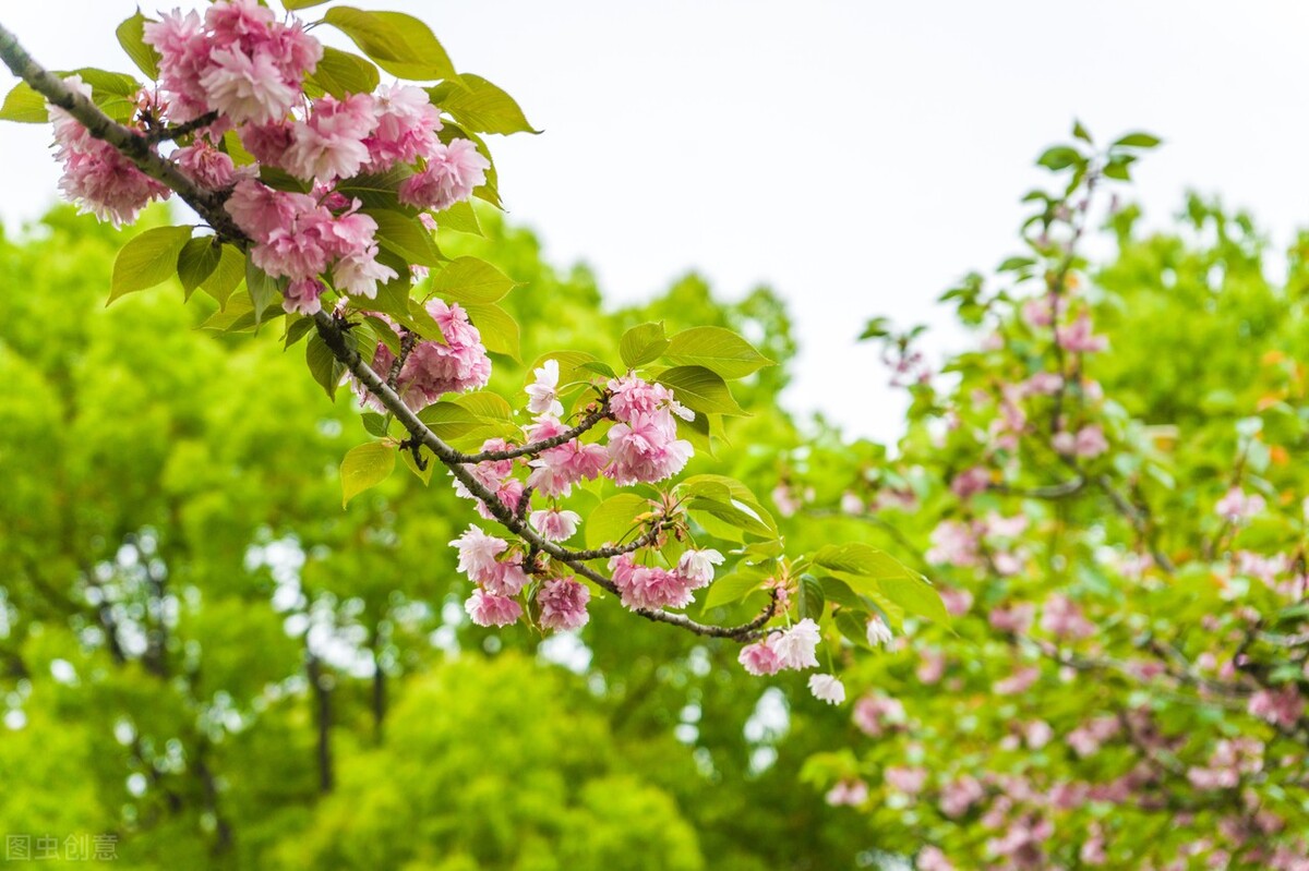 责任含义是什么,浅谈雇主责任