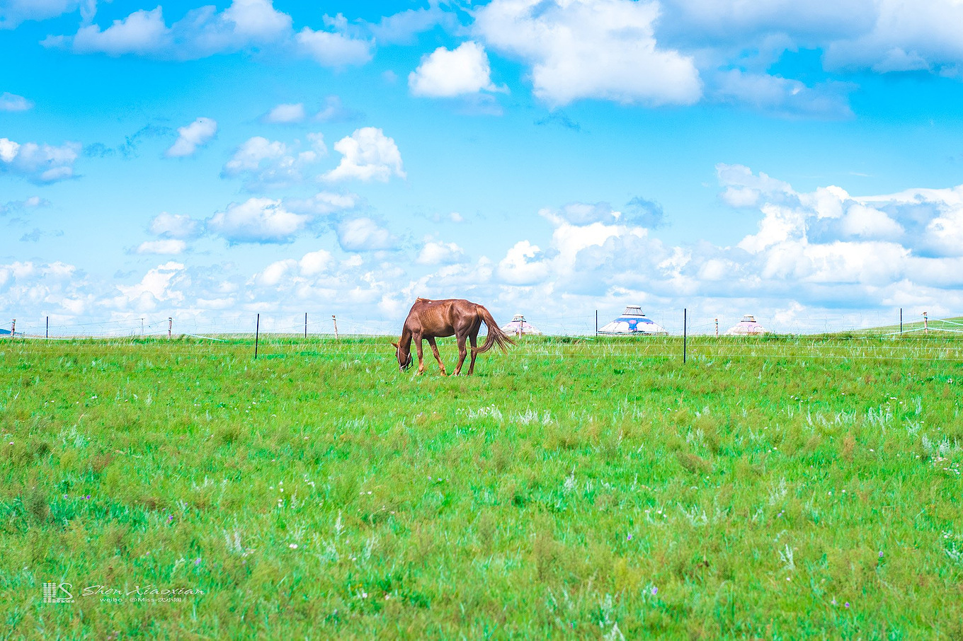 八月的锡林郭勒,8月的锡林郭勒
