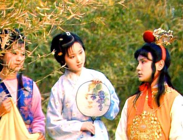 晴雯的死因是因为袭人告密吗,晴雯芳官怎么样了