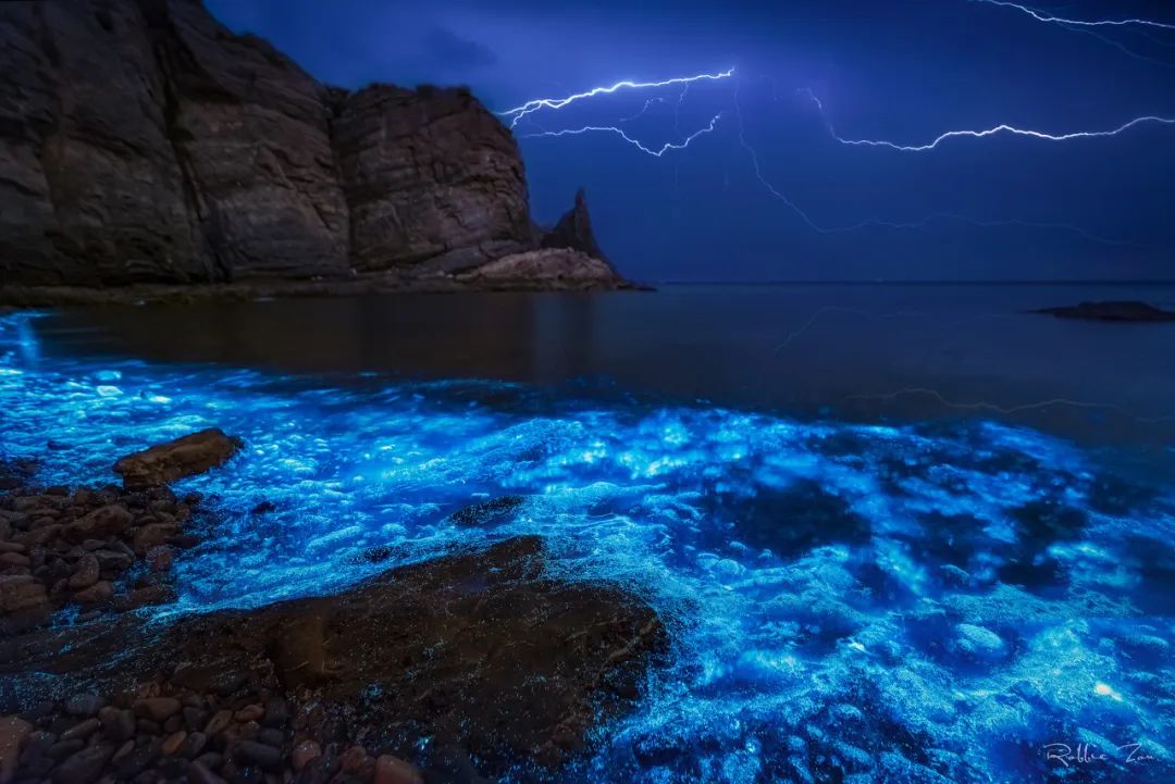旅游三亚和厦门哪个更值得去,三亚和厦门哪一个更值得去旅游
