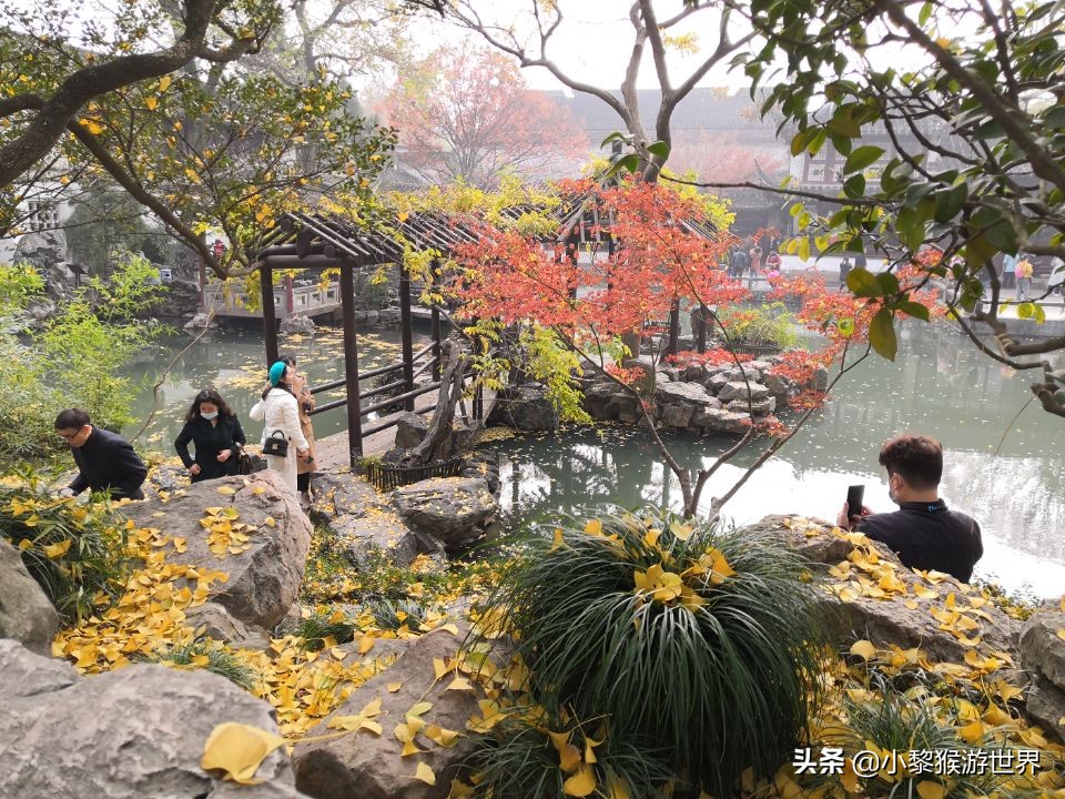 十一国庆苏州景区免费开放,苏州市最值得去看的几个旅游景点