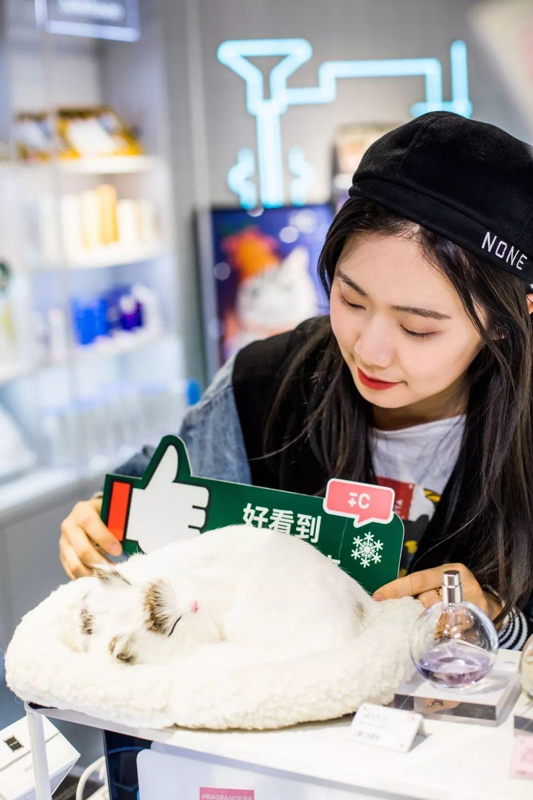 @所有猫控！万菱汇「猫咪美妆店」，任吸任摸！还有GD限量同款