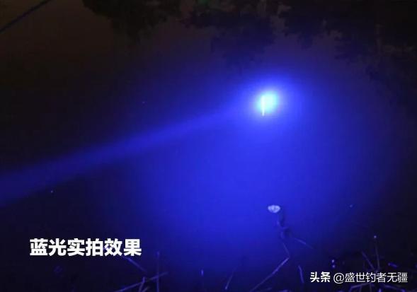 夜钓灯打灯技巧,夜光棒夜钓技巧视频