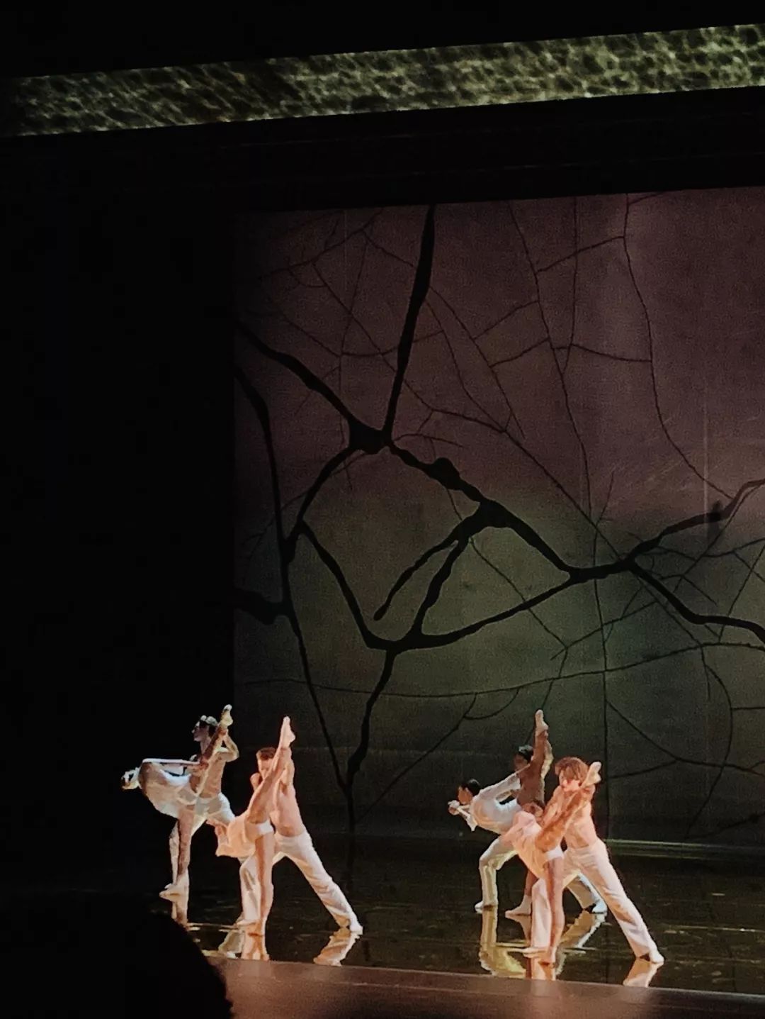 悉尼的一天游记,悉尼小众地点