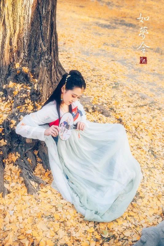 如梦令的相思,如梦令相思千里