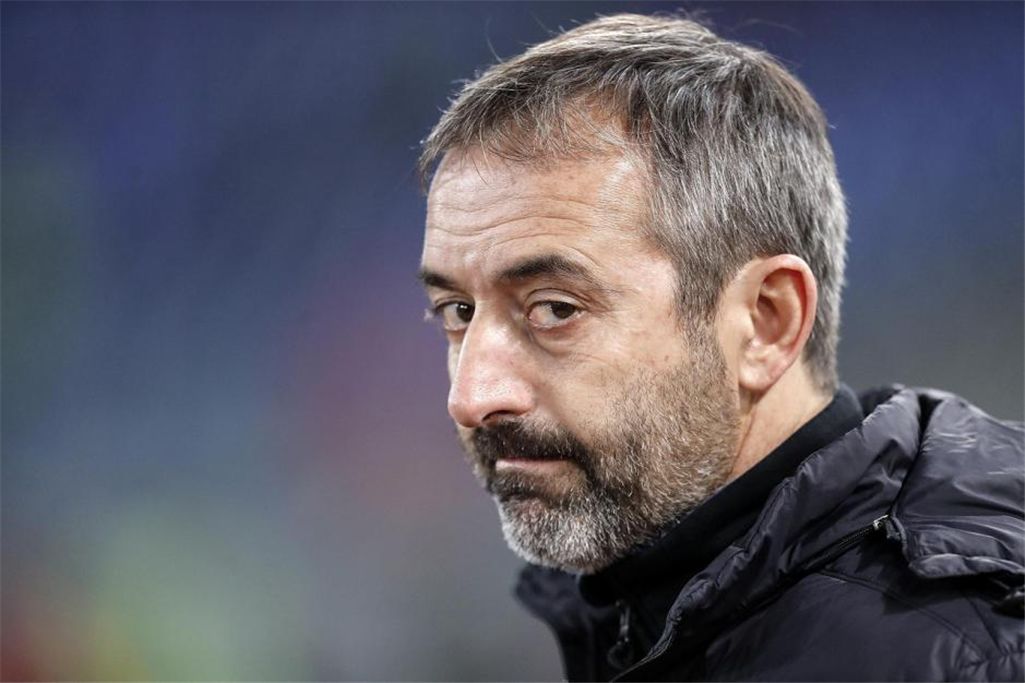 米兰干枯的根坏了,米兰一半枝条干枯死了咋回事