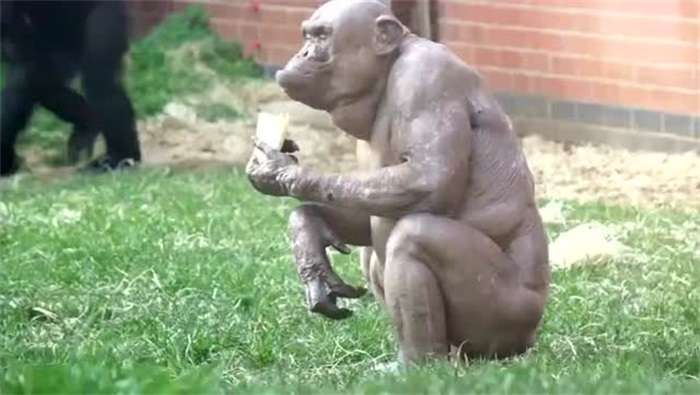 男女是如何产生下一代的,男女之间是怎样产生后代的