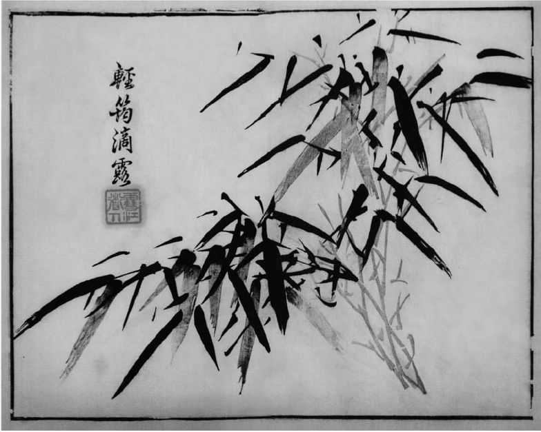 竹子的100种画法视频,超级简单的竹子画法你学会了吗