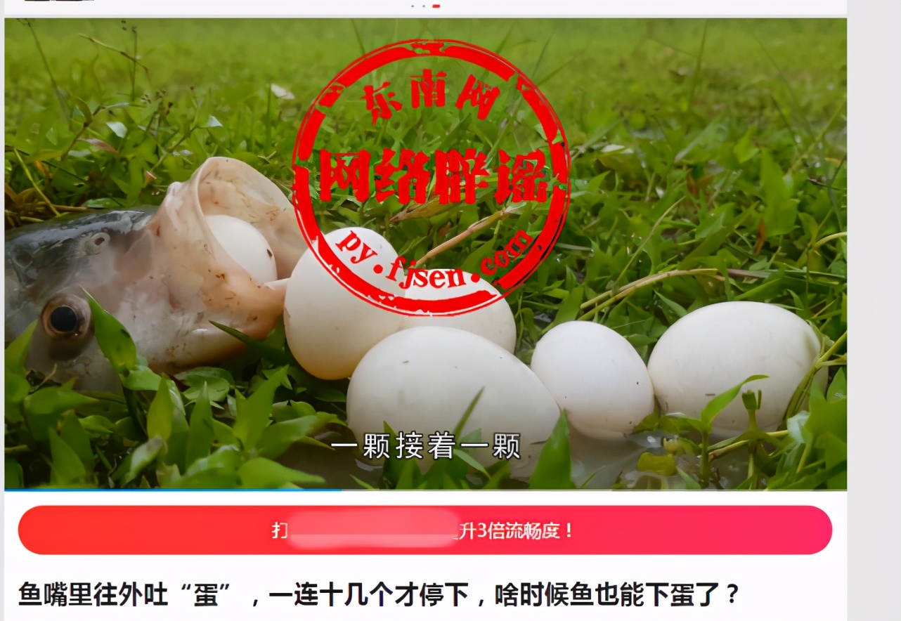 鱼吐蛋是怎么回事,鱼嘴里吐出很多鱼的是什么鱼