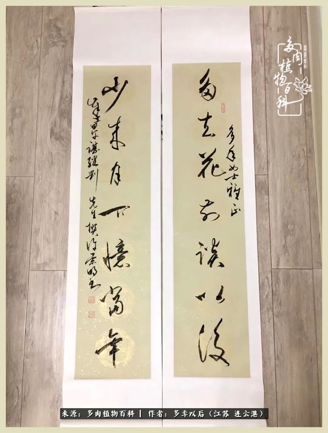 多去花前谈以后，少来月下忆当年