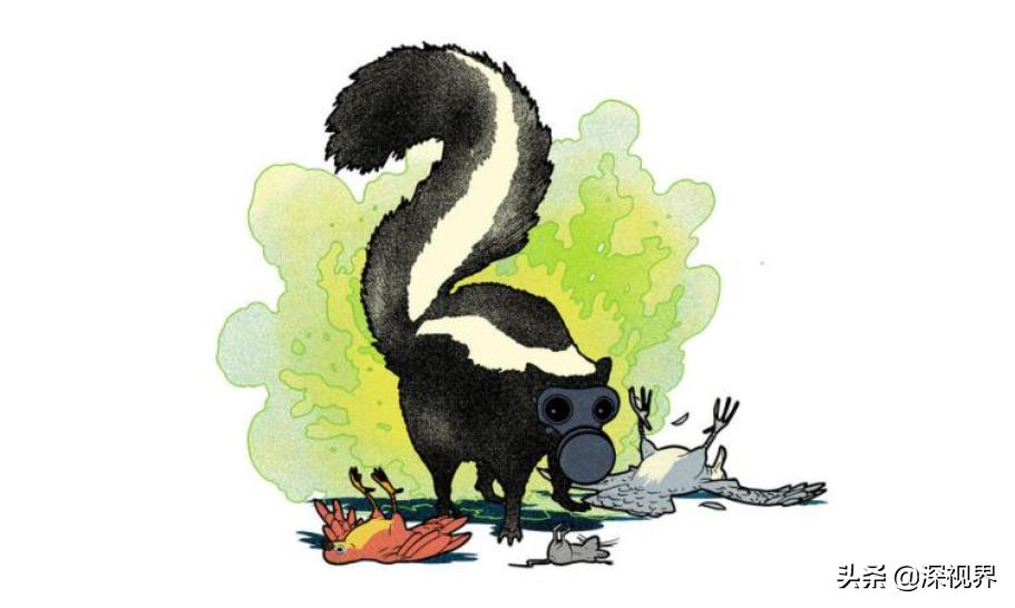 黄鼠狼为什么不能养,人工养殖黄鼠狼