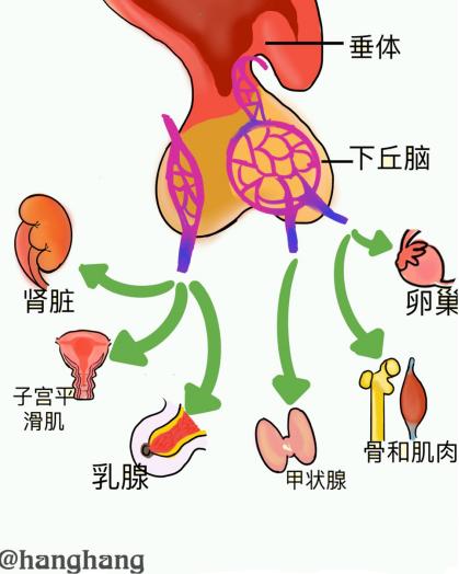不孕不育漫画解说,不孕不育漫画