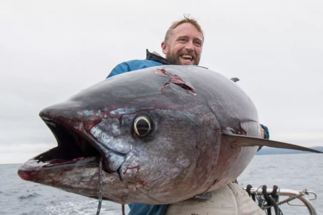 希腊帆船旅行,帆船航海深度体验