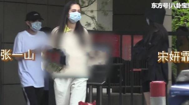 刘星杨紫长大的电视剧,刘星杨紫张一山