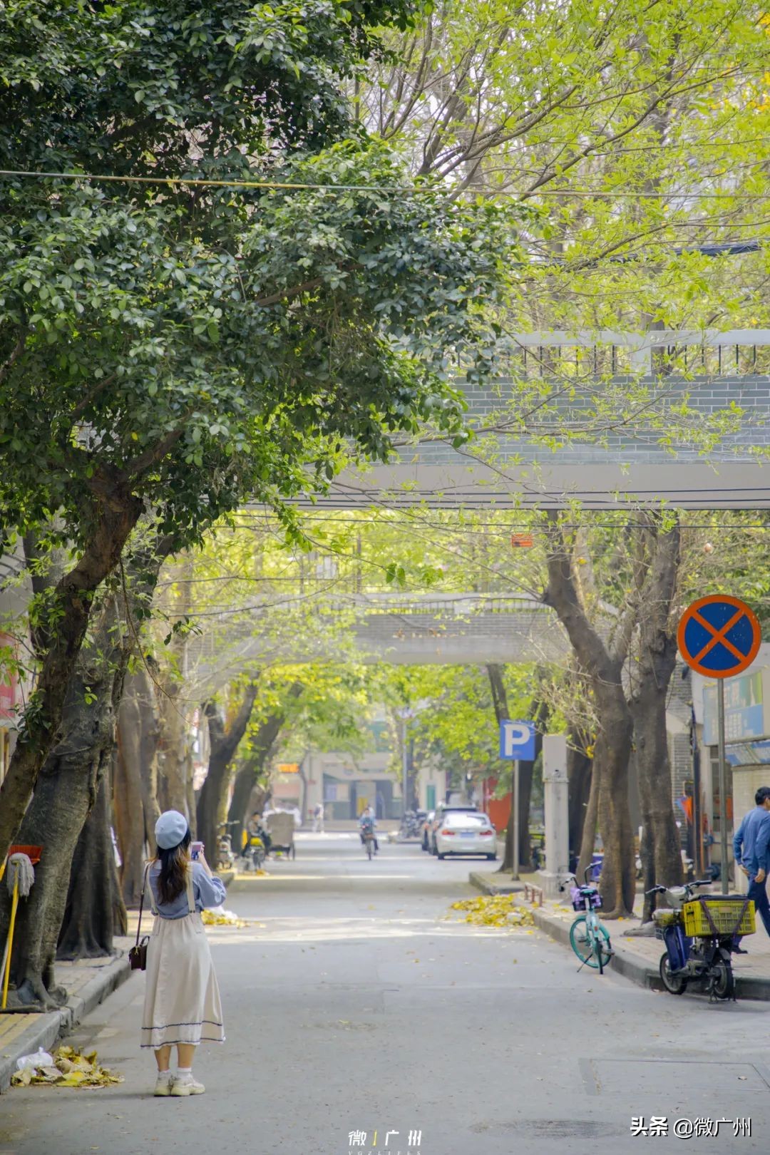 广州五羊邨富人区,广州被遗忘的荒村