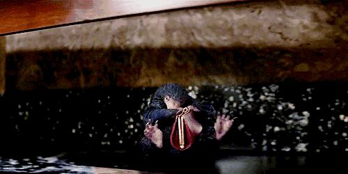 所谓哈迷的狂欢不过是失望之极下的*慰自**｜影评