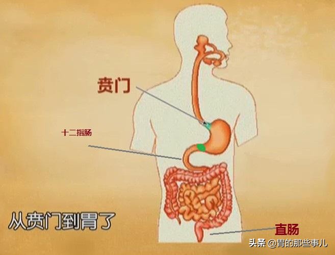 食管反流引起的胸痛吃什么药,多年胃食管反流