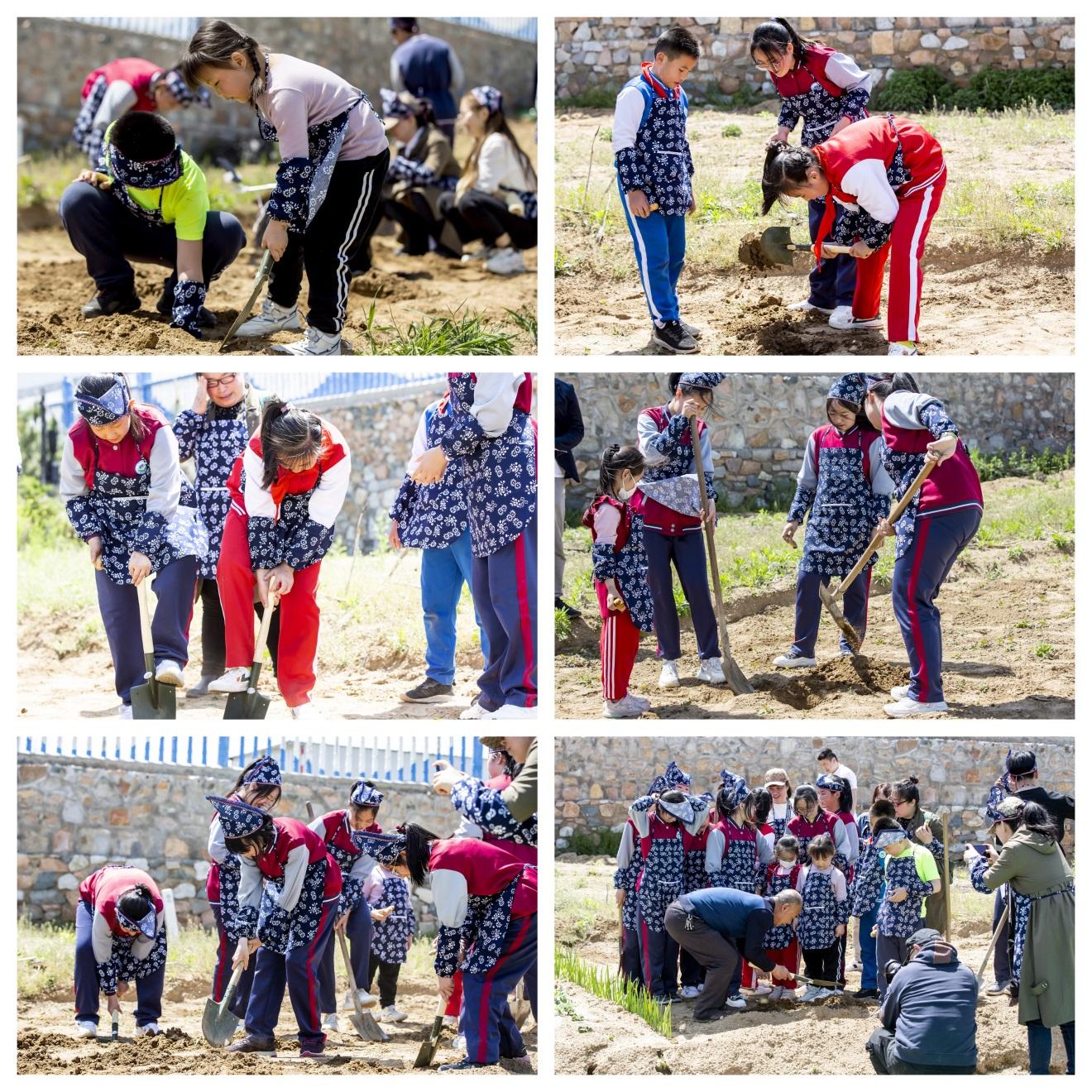 鎴戠埍鎴戠殑瀹朵埂鍒涙剰,鎴戠埍鎴戠殑瀹朵埂瀹炶返鏁欐