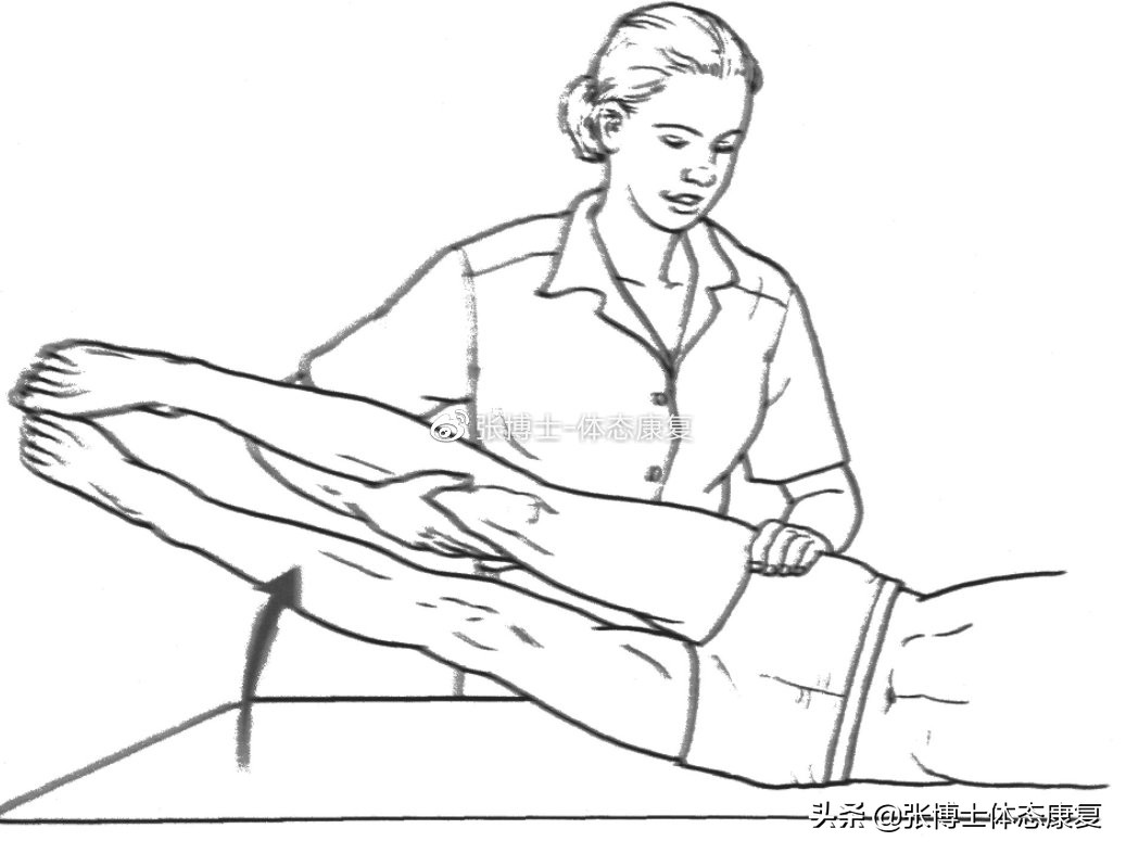 「译文分享」人体侧向子系统与单腿运动的稳定性