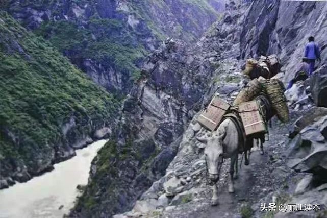 这个为丽江留下经典影像的“80后”纳若，居然上过战场剿过匪