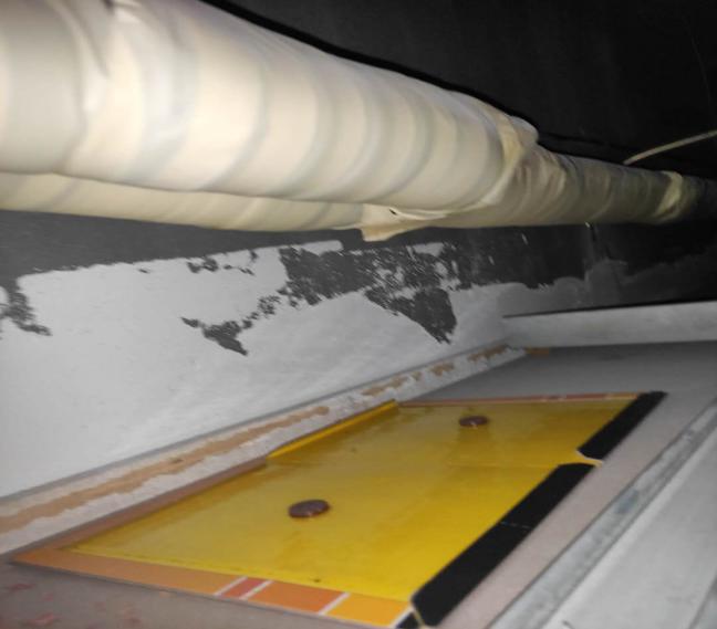 食品公司鼠害防治的有效方法,超市防鼠虫害防治方案