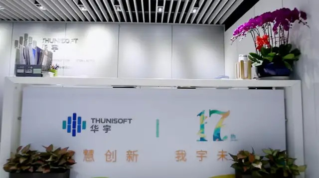 华宇软件被深交所公开谴责,华宇软件及时任董事长被谴责